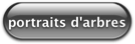 catalogue portraits d'arbres
