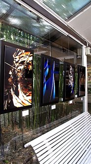 Photo de l'exposition