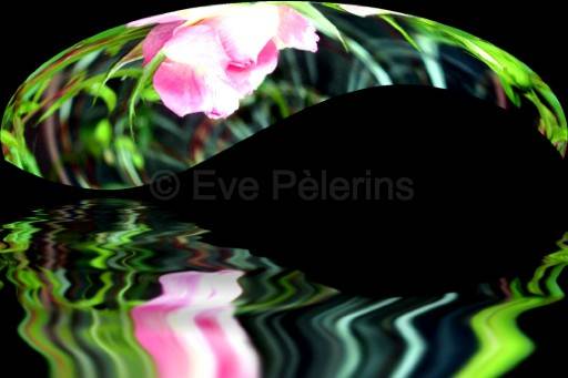 Le dit de la rose.jpg