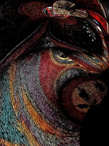 Portrait baroque.jpg