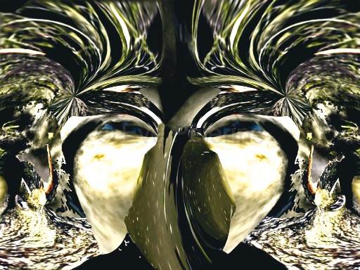 Reine de la nuit.jpg