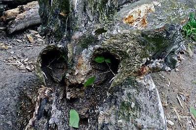 Douleur.jpg